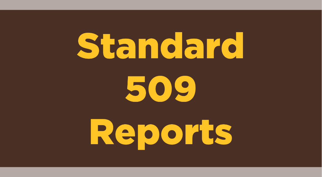 Standard 509 Reports Icon