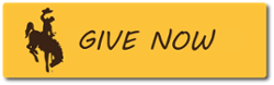 give now