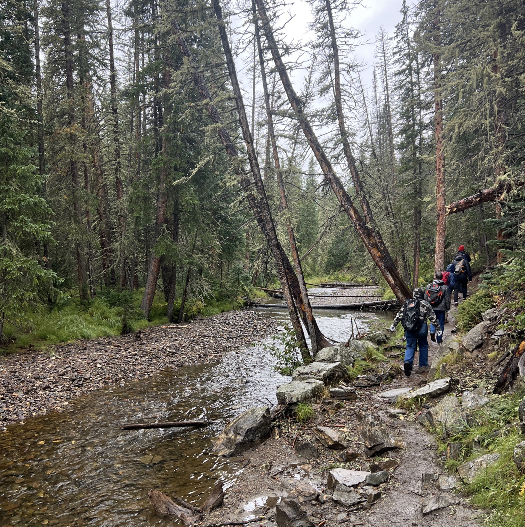 Gina Guy law students hiking next to river