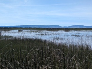 Goose Lake