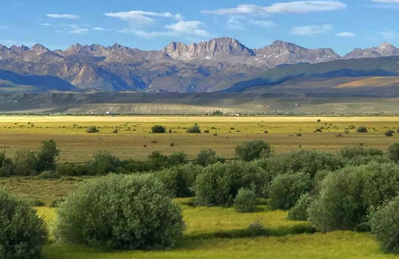 grass fields and mountains