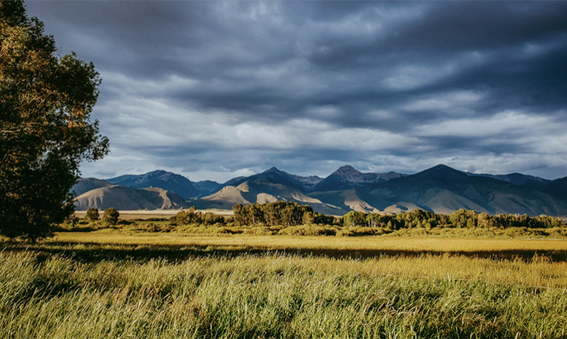 grass and mountains