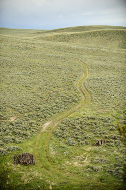 Image of a Wyoming prairie.