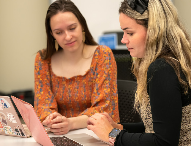 a student leader/tutor/writing consultant assists another student