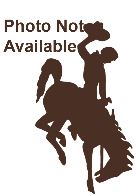 No image available written over Steamboat logo