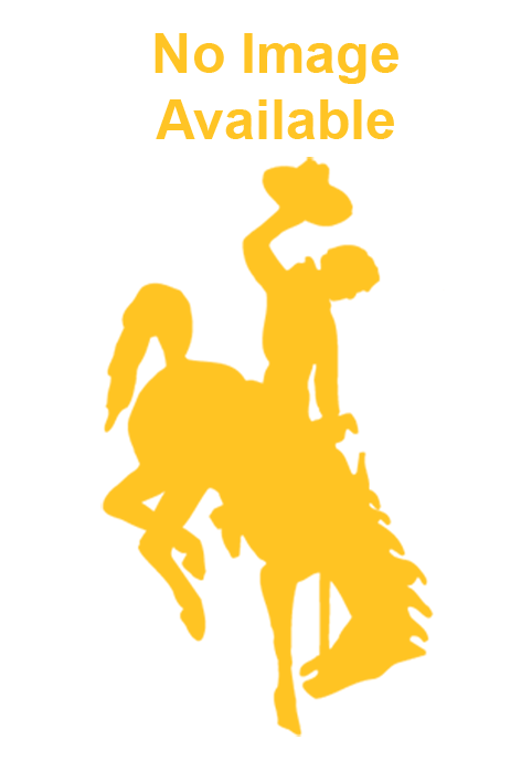 No image available written above Steamboat logo