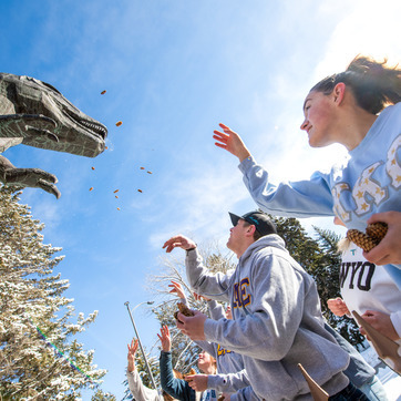 students throwing pinecones into T-Rex's mouth for good luck
