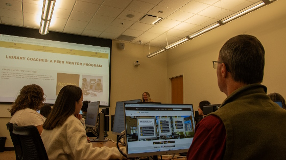 Librarian workshop talking abotu library coaches.