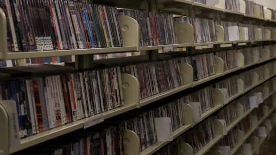 Shelves full of movies in the Media Collection.