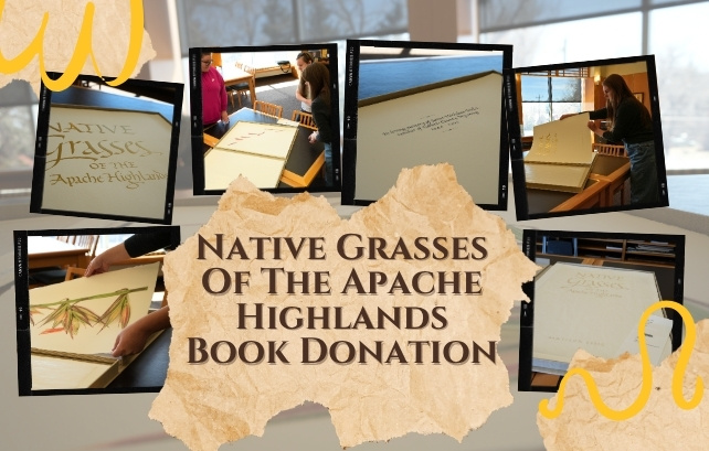 Native Grasses of the Apache Highlands Book Donation