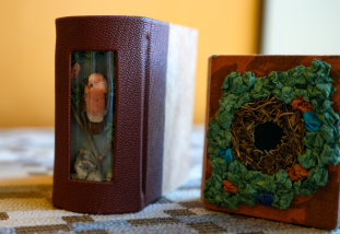 canoso mini books