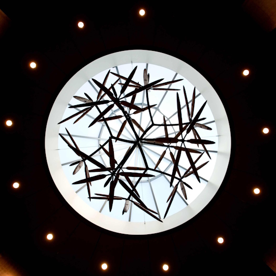 Ceiling artwork in Coe Library