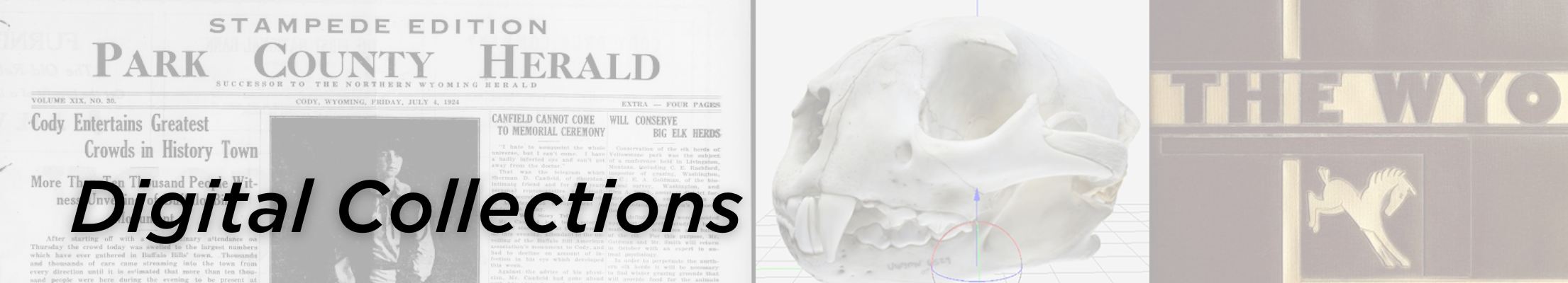 old newspaper, 3D skull and Wyo yearbook in background with text that reads "Digital Collections"