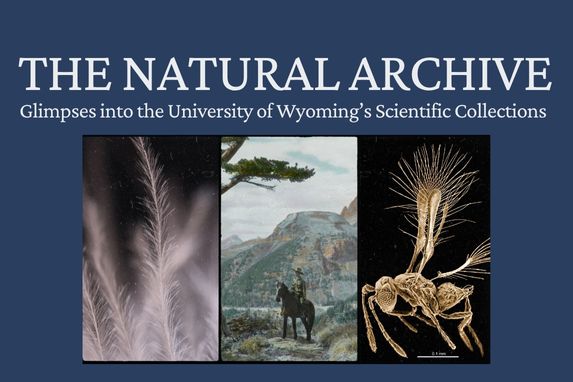 decorative graphic with text that reads "The Natural Archive: Glimpses into the University of Wyoming's Scientific Collections" and features three images from the collection.