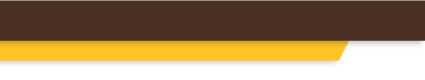 brown and gold header (decorative image)