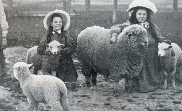 Austalian girls with sheep