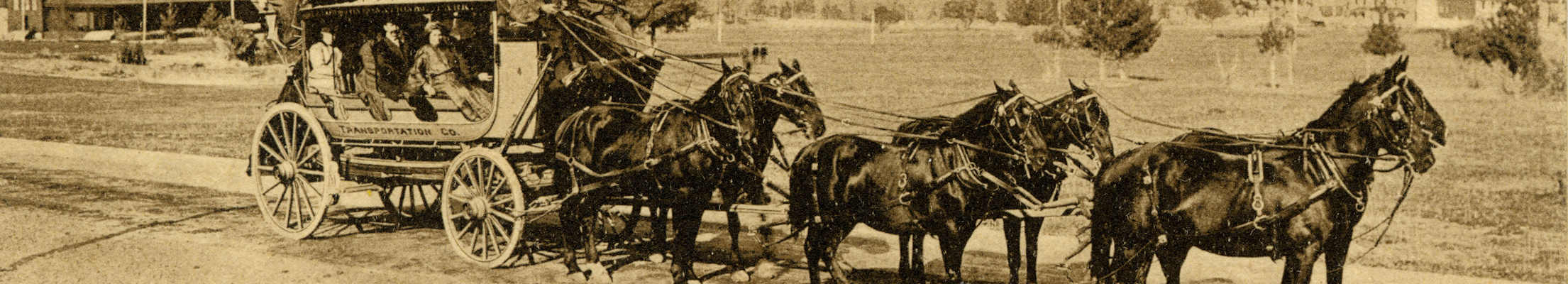 Yellowstone coaching party