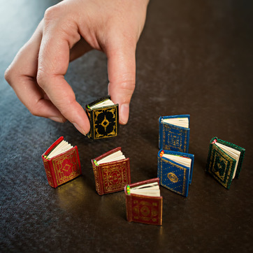 A close-up shot of Canoso miniature books.