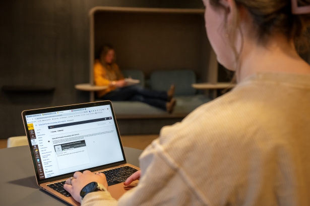 Student at their laptop.