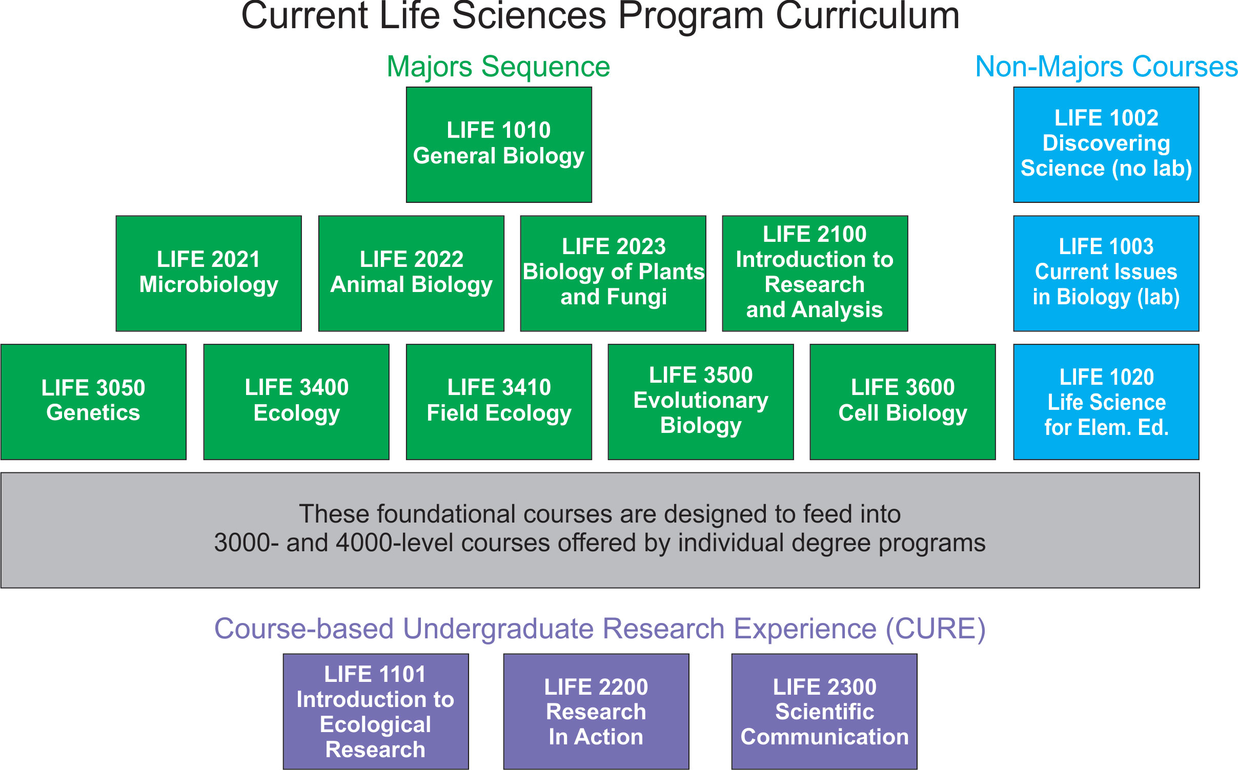 curriculum-1d.jpg