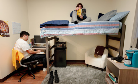 Two students in their dorm room chat while one sits on a bunk bed and the other in a chair.