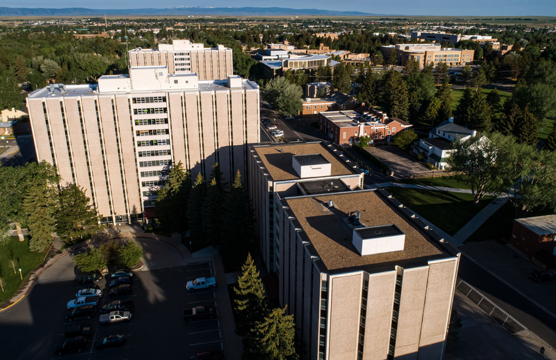 Aerial Photo of McIntyre and White Hall