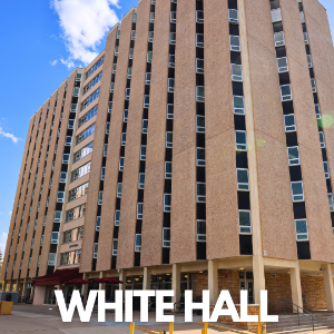 image of white hall building