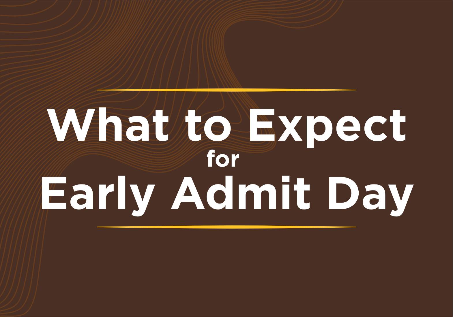 What to expect
