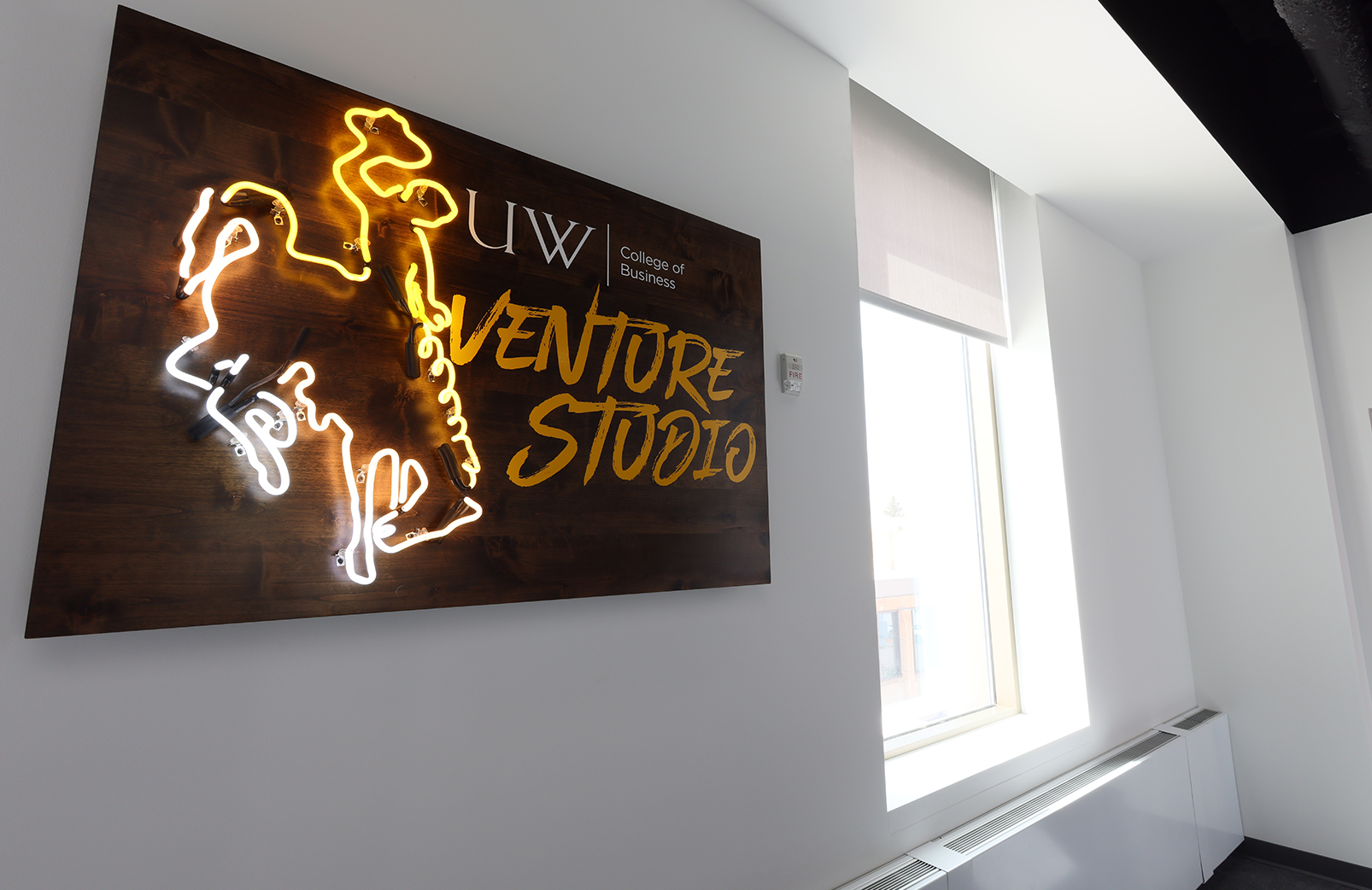 Venture Studio neon sign