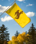 Photo of a gold flag with a brown bucking horse flown above trees with fall coloring in front of a blue sky