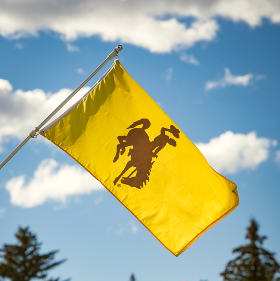 A gold flag with a brown bucking horse in front of a blue sky and fluffy clouds