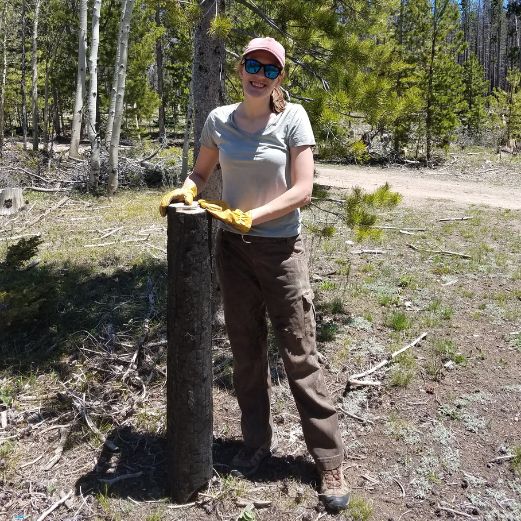 photo of graduate student holding a log from badger creek forest fire