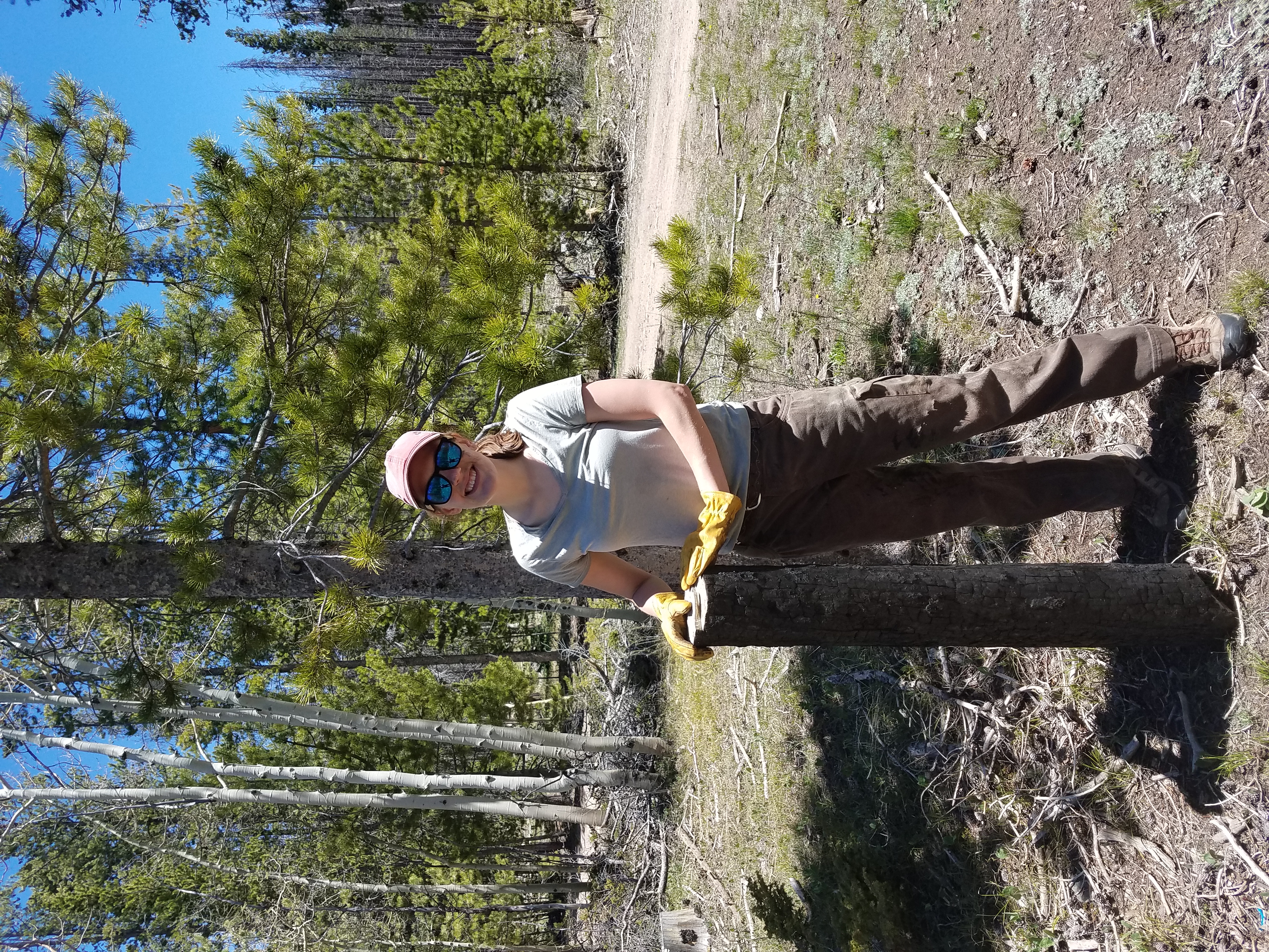 Biochar characterization at the University of Wyoming