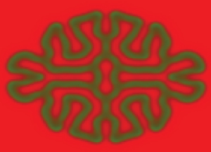 Coral pattern