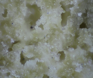 Porous Ceramic