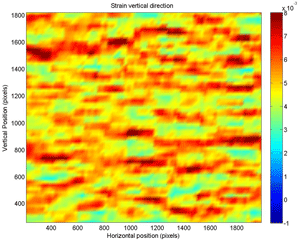 Strain Distribution