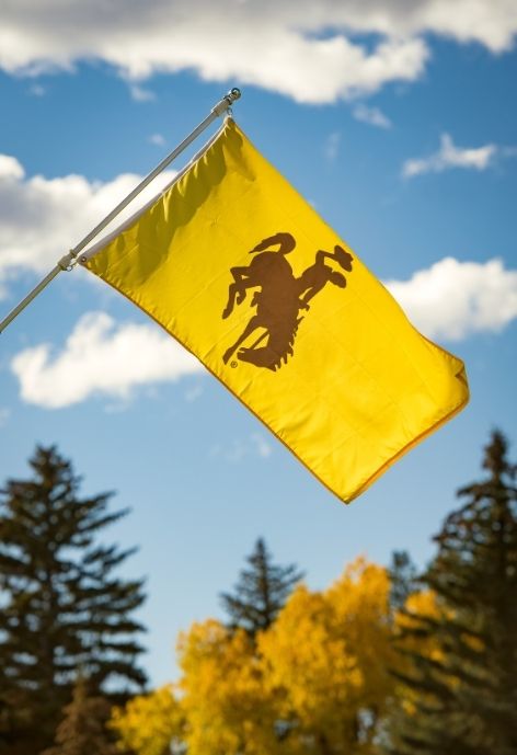 Gold flag with brown bucking horse in the center against a blue sky background