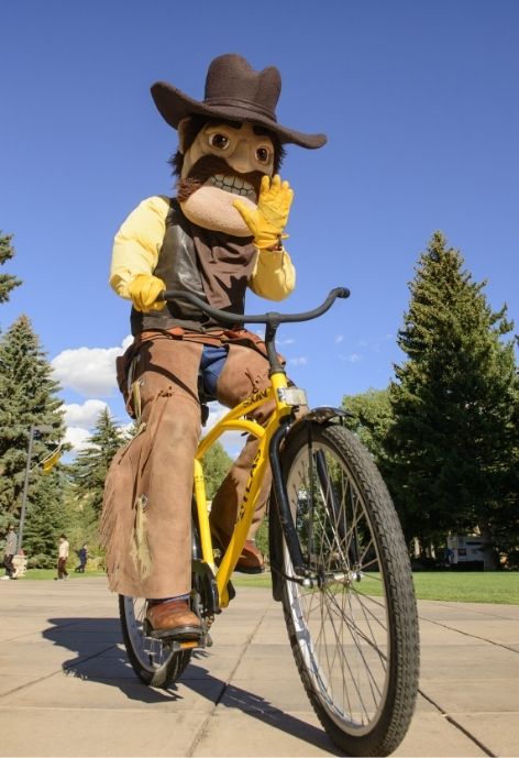 image of university of wyoming mascot, pistol pete riding a bicycle