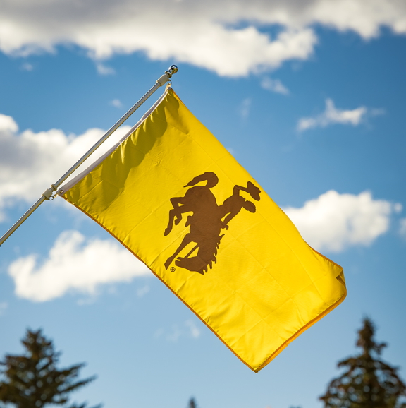 A gold flag with a brown bucking horse in front of a blue sky and fluffy clouds