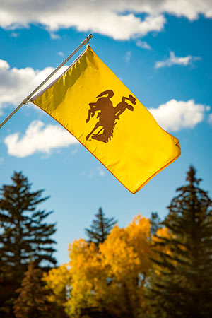 UW Flag