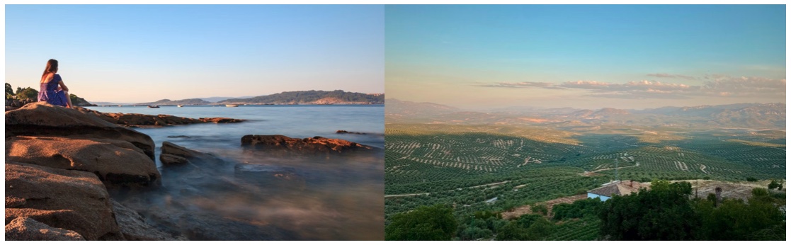 landscape images of Spanish coast and olive trees
