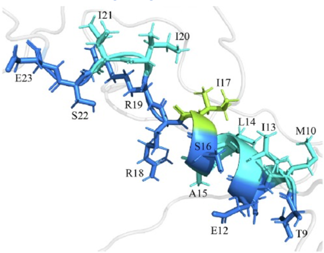 small amino acid sequence feature within the polar organizing protein PopZ