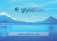 GlycoBac