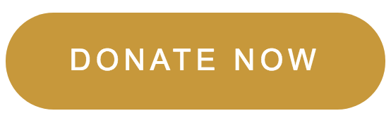donate now