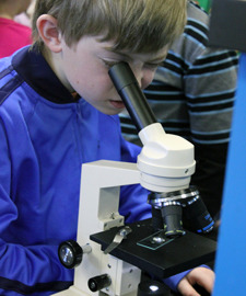 Microscope