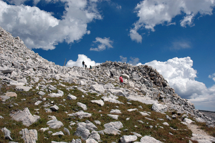 climbing