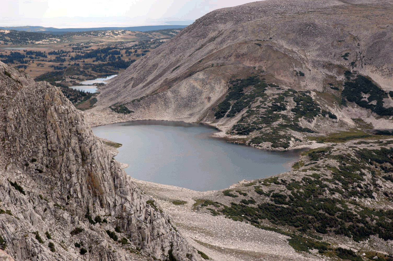 Medicine bow