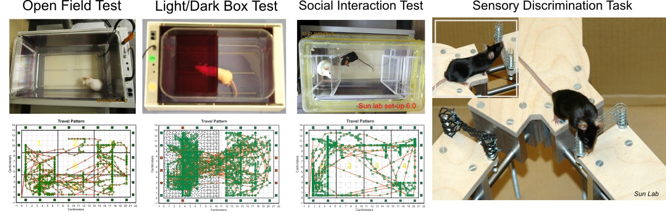 sun lab behaviour