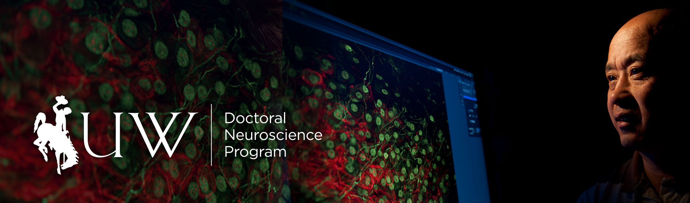 Neuroscience research image with UW Doctoral Neuroscience Program logo on top