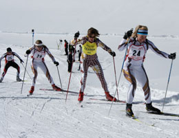 Four skiers